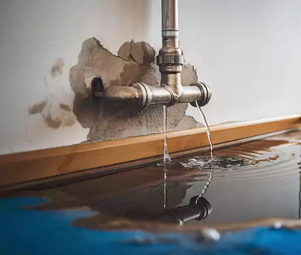 Professional Water Damage Restoration Experts in San Bernardino, CA — Fast, Reliable & Certified